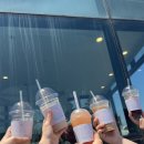 스콜복싱 이미지