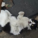 형제모터스 이미지