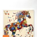 송이표구사 이미지