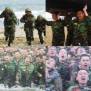 V라인S라인 이미지