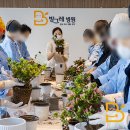 아젤리아 이미지