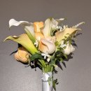 작업실오후 화장실 이미지