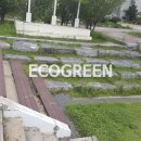 원주초등학교 이미지