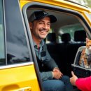 멍냥 펫택시 이미지