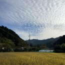 연화도감 이미지