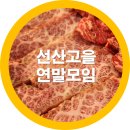 진고을 | 송정동맛집 연말모임 장소로도 좋은 선산고을 한우 어때요