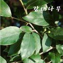 천하지대본 이미지