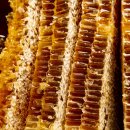 꿀사랑협동조합 이미지