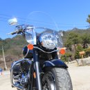 야생초마을아미골 이미지