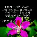 행복한 아침 이미지