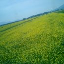 왕인박사유적지 주차장 이미지