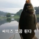 나주 저수지 낚시 (마릿수 등극) 이미지