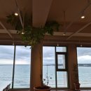 성심목장 | 복쿠맘의 제주살이 Ep.21 – 제주 성산일출봉 카페 서귀피안 베이커리 후기