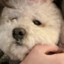 김*배 네이버블로그