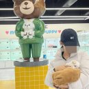 행복한 강아지 이미지