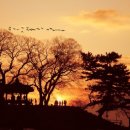 산들강웅포마을 이미지