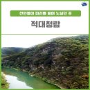 자연청람 이미지