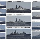 중국-러시아 해군 함정 10척이 쓰가루 해협을 통과해 태평양으로 진입 이미지
