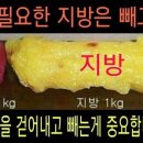 점핑업다이어트
