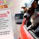 의식주프로젝트 이미지