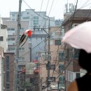 949 이미지