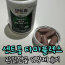 플렉스 | '관절.연골.근육 고민' 한 알로 끝내는 센트룸 타마플렉스 올인원 후기