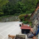 여수 메종블랑쉐 펜션 이미지