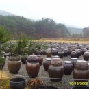 동인식품 이미지