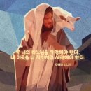 ⛪️ 연중 제30주일 이미지