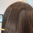 다미살롱 이미지