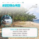 [용신마을]용신어촌체험마을 네이버블로그
