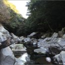 한라산천연보호구역 Daum카페