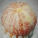 참;달다 이미지