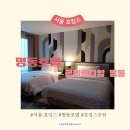서울 호캉스 추천 | 명동호텔 르메르디앙 명동 트윈룸 /실내 수영장