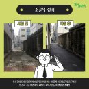 남대구초등학교 담장 이미지