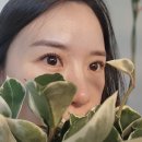 뷰아르 - 서초구 | 뷰아르