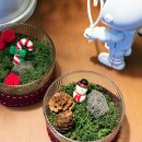 차의과학대학교 통합의학대학원 | 2025년 마무리하는 글:)