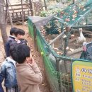 친구와 마음을 나누어요 이미지