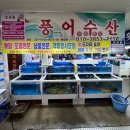 풍어횟집 | [울산 삼산] 울산 농수산물도매시장 횟집 ‘풍어수산’ 푸짐한 모듬회 포장 후기