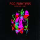 Foo Fighters - These Days 이미지
