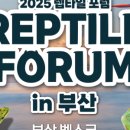 룰루렙타일