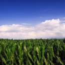 제일솔라 태양광발전소 이미지