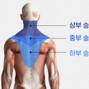 파인더트리 에스테틱