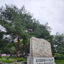 나무이야기 이미지