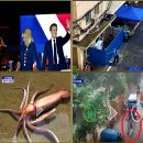 삼효산업 Daum카페