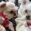 산책하는날 이미지