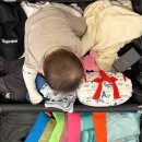 일등공신학원 | 이번 여행 정리 정돈의 일등공신, 플레이조이 메쉬파우치 6종 솔직 후기