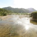 강남리체스부동산중개법인주식회사 이미지