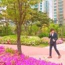 고마워꽃 TV리포트