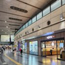 올리브영 동대구역사점 이미지